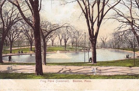 Frog Pond Common Boston Massachusetts