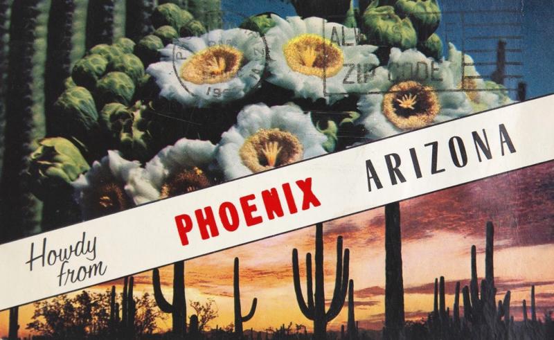 Howdy from Phoenix Arizona AZ Saguaro Cactus Forest c1966 Postcard D33 