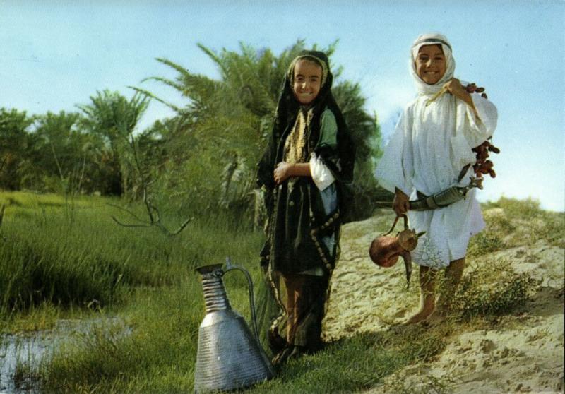 saudi arabia, The Children of the Desert (1970s) Postcard (2)