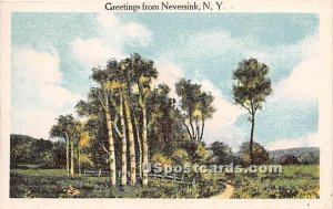 Greetings from - Neversink, New York