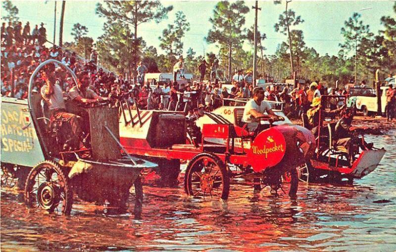 Naples FL Swamp Buggies Line Up For Race Postcard