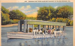 Glass Bottom Boat - Silver Springs, Florida FL  