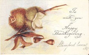 Chestnuts fruits Old vintage American Thanksgiving greetings Postcard