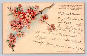 Pink Flower Blossoms Grace & Peace Vintage Postcard 1170
