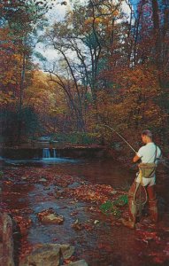 Hot Springs VA, Virginia - The Homestead Resort - Cascades Trout Stream Fishing