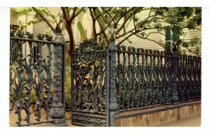 LA - New Orleans. Cornstalk Cast Iron Fence