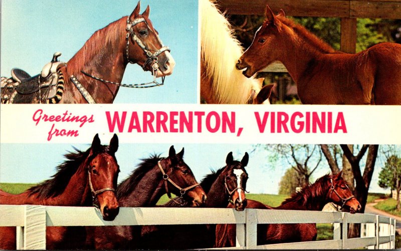 Virginia Greetings From Warrenton With Horses