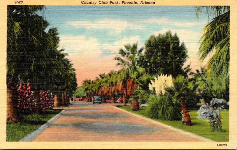 Arizona Phoenix Country Club Park Curteich