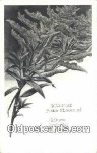 Golden Rod, State Flower - Misc, Alabama AL  