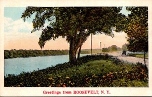 New York Greetings From Roosevelt