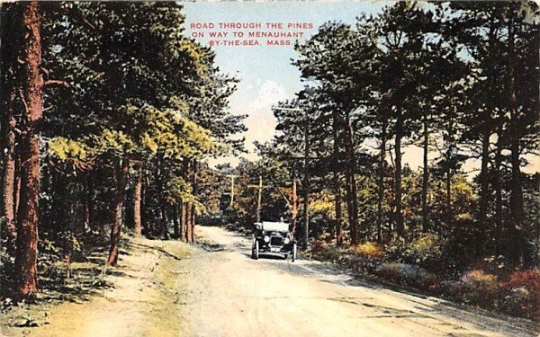 Road Through the PinesLynnfield, Massachusetts