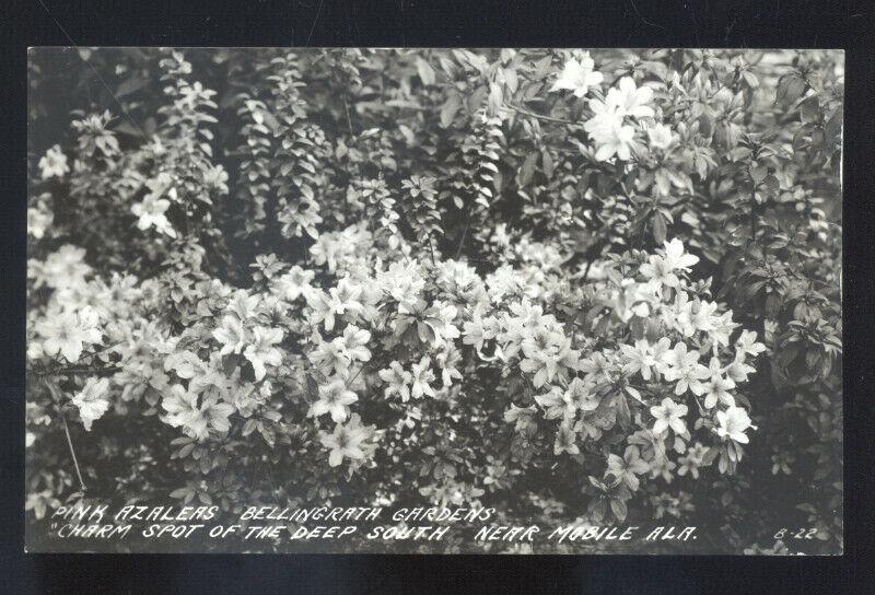 RPPC MOBILE ALABAMA ALALEA PLANT BELLINGRATH GARDENS REAL PHOTO POSTCARD