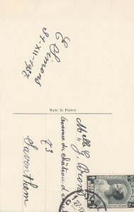 Postcard greetings Bonne annee winter landscape dusk