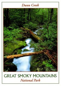 Great Smoky Mountains National Park Dunn Creek