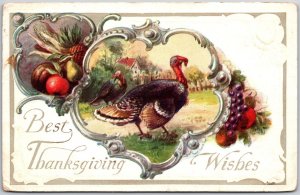 1912 A Best Thanksgiving Wishes Turkey & Fruits Unique Border Posted Postcard