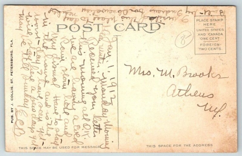 St. Petersburg  Florida  Old Indian Shell Mound   Postcard