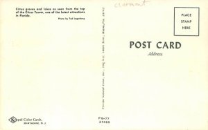 Citrus groves Clermont, Florida