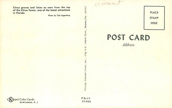 Citrus groves Clermont, Florida