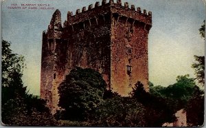 c1910 IRELAND BLARNEY CASTLE COUNTY OF CORK EARLY POSTCARD 34-293