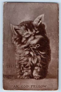 Owatonna Minnesota MN Postcard Brown Haired Kitten An Odd Fellow 1910 Antique