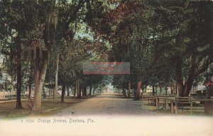 FL, Daytona, Florida, Orange Avenue, Rotograph No G 15290