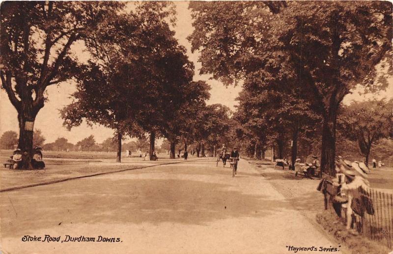 DURDHAM DOWNS BRISTOL UK STOKE ROAD SEPIA HAYWARD SERIES POSTCARD