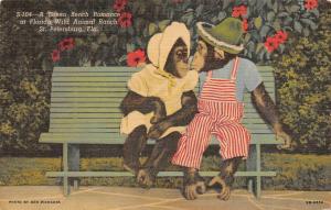 ST PETERSBURG, FL Florida  WILD ANIMAL RANCH~Chimps Dressed & Kissing   c1940's