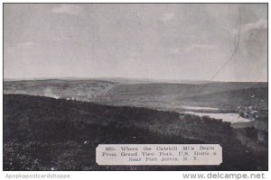 New York Port Jervis Catskill Mountains From Grand View Park Dexter Press