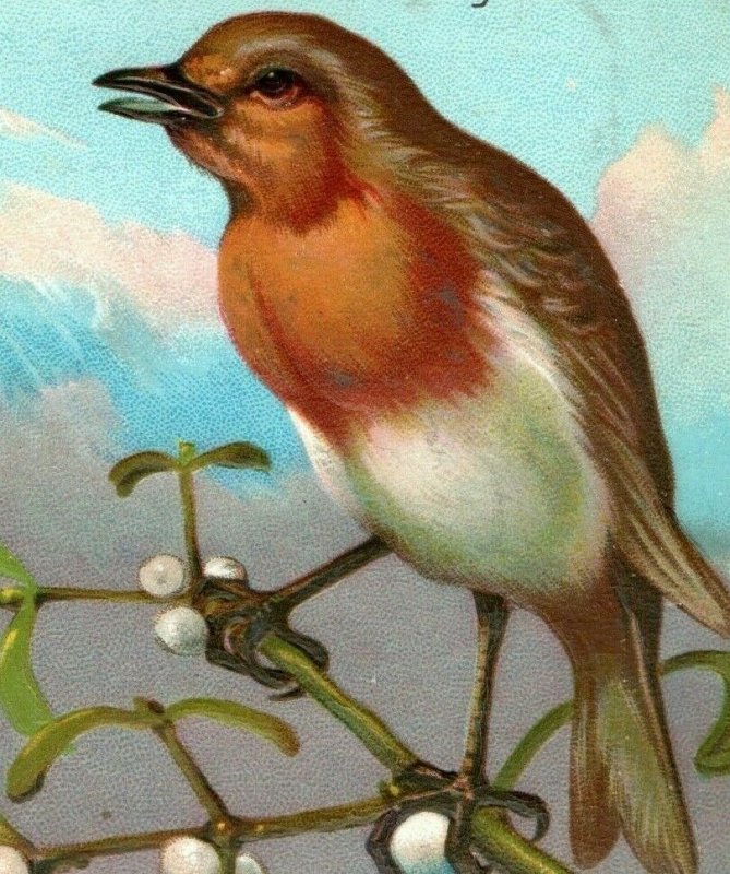 1870's-80's Embossed Christmas Card Lovely Wild Bird P153