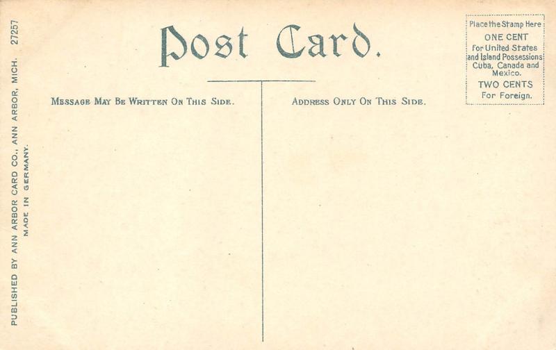 Ann Arbor Michigan c1910 Postcard High School