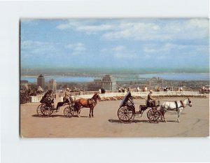 Postcard Old French Horsedrawn Carriages On Mount Royal Montreal Canada