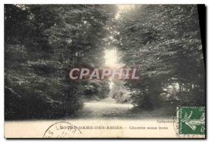 Old Postcard Notre Dame Des Anges path in woods