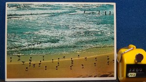 Continental Beach View Ocean City Maryland Unposted