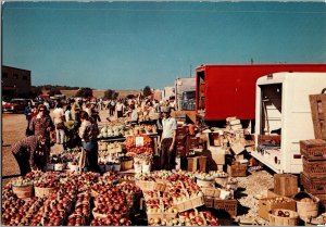 Kitchener Waterloo Stockyards Outdoor Market Ontario Canada Postcard CD6