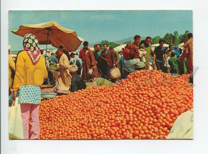 3179279 Morocco Agadir Marche market old postcard