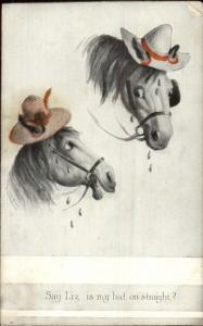 Women as Horses SAY LIZ IS MY HAT on STRAIGHT c1910 Postcard