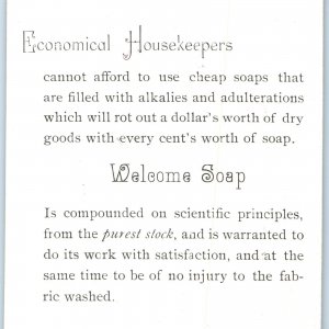 c1880s Economical Housekeepers use Welcome Laundry Soap Trade Card Birds C34