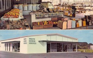 White Heron Groves Orange Citrus Fruit Store Bradenton Florida 1950s postcard