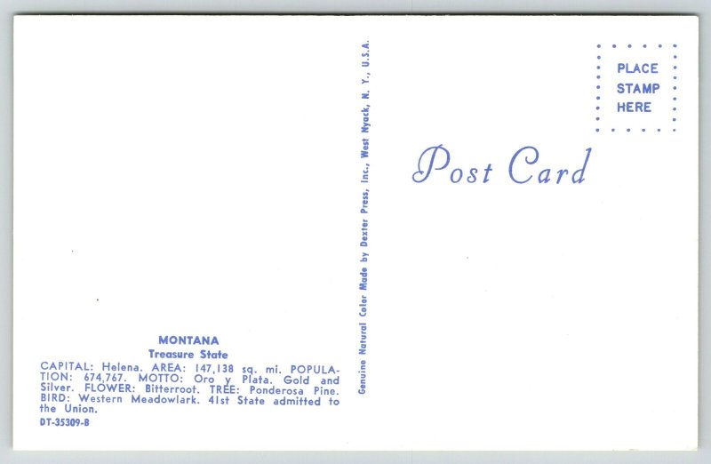 Map~Greetings From Montana~Shelby~Chinook~Glendive~Lima~Browning~1950s Postcard