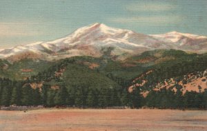 Vintage Postcard 1930's Sierra Blanca White Mountains Roswell New Mexico NM