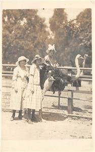 RPPC Cawston Ostrich Farm, South Pasadena, CA 1921 Vintage Postcard