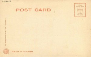 Battle Creek Michigan Mc Calmy Park Rotograph undiivided1905 Postcard 21-8122