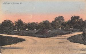 Oshkosh Wisconsin~North Park Fork in the Road~1909 Handcolored Postcard 