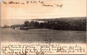 New York Aurora Birds Eye View Looking Toward Well's College 1907 Rotograph