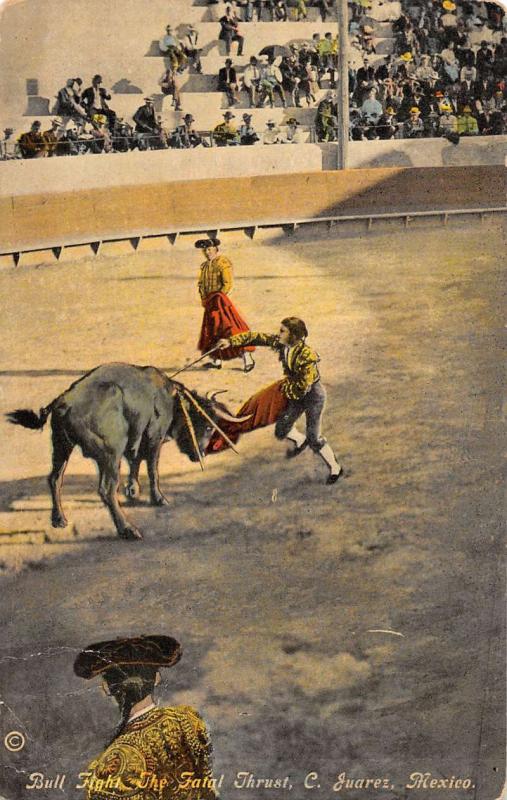 Group Of 6 Bull Fighting Scenes Matador Mexico Antique Postcards K25231