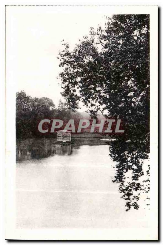 Old Postcard Chateau de Fontainebleau The pond Carp