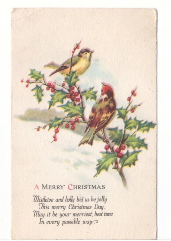 A Merry Christmas, Holly, Birds, Vintage Postcard