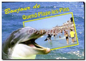 Modern Postcard The Cote d'Opale Quend beach pine beach and Dolphin waterfront