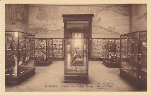 Belgium Tervuren Musee de Congo Salle des Oiseaux