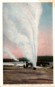 Yellowstone National Park Beehive Geyser Haynes Photo